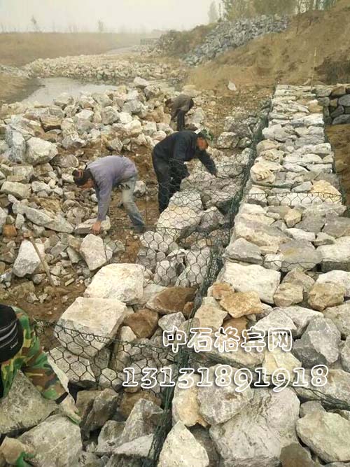 護腳賓格網13131891918 護腳賓格網13131891918