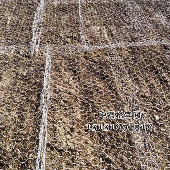 雙隔板雷諾護墊 雙隔板雷諾護墊